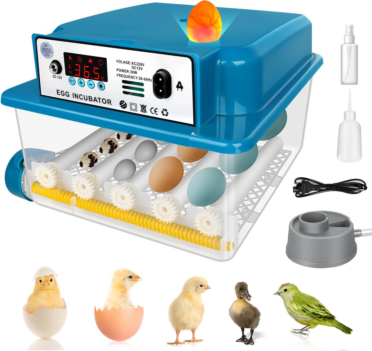 Slimme Broedmachine voor eieren - Broedmachine - Volautomatisch - 16 Eieren - inclusief staaflamp - incubato - 220V EU - Blauw