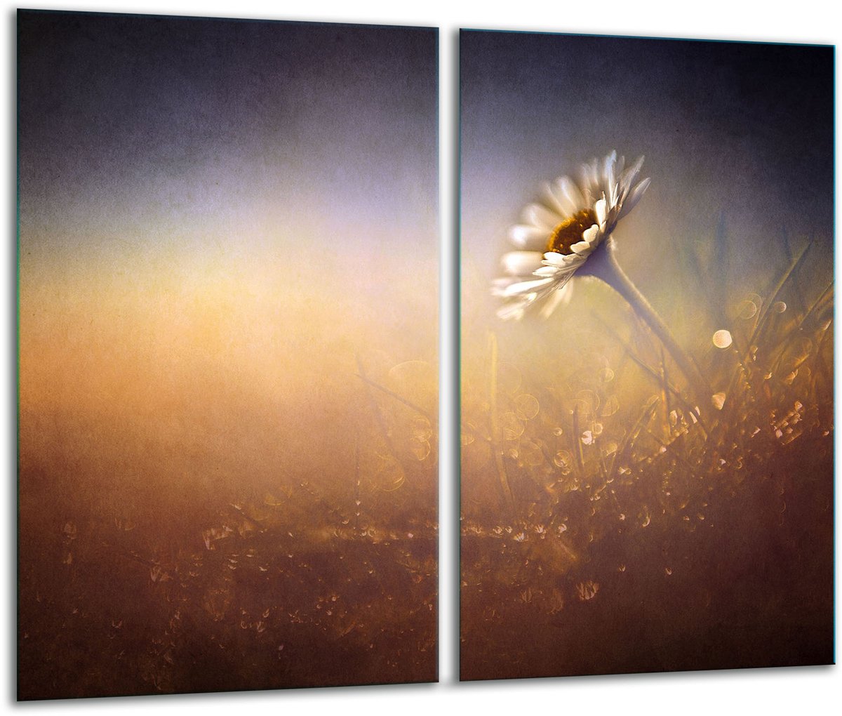 TMK ArtDeko - Snijplank - Inductie - 30x52 cm - Kleur