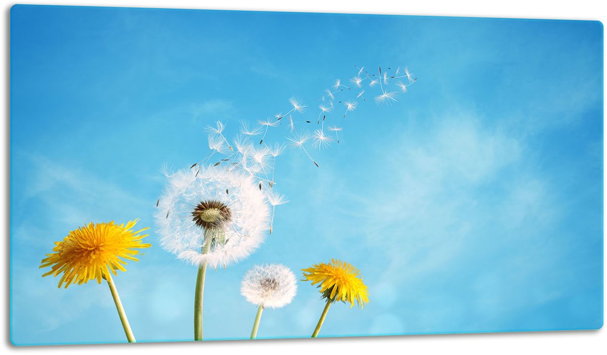 TMK ArtDeko - Snijplank - Glas - 52cm - 30cm - Bloemen