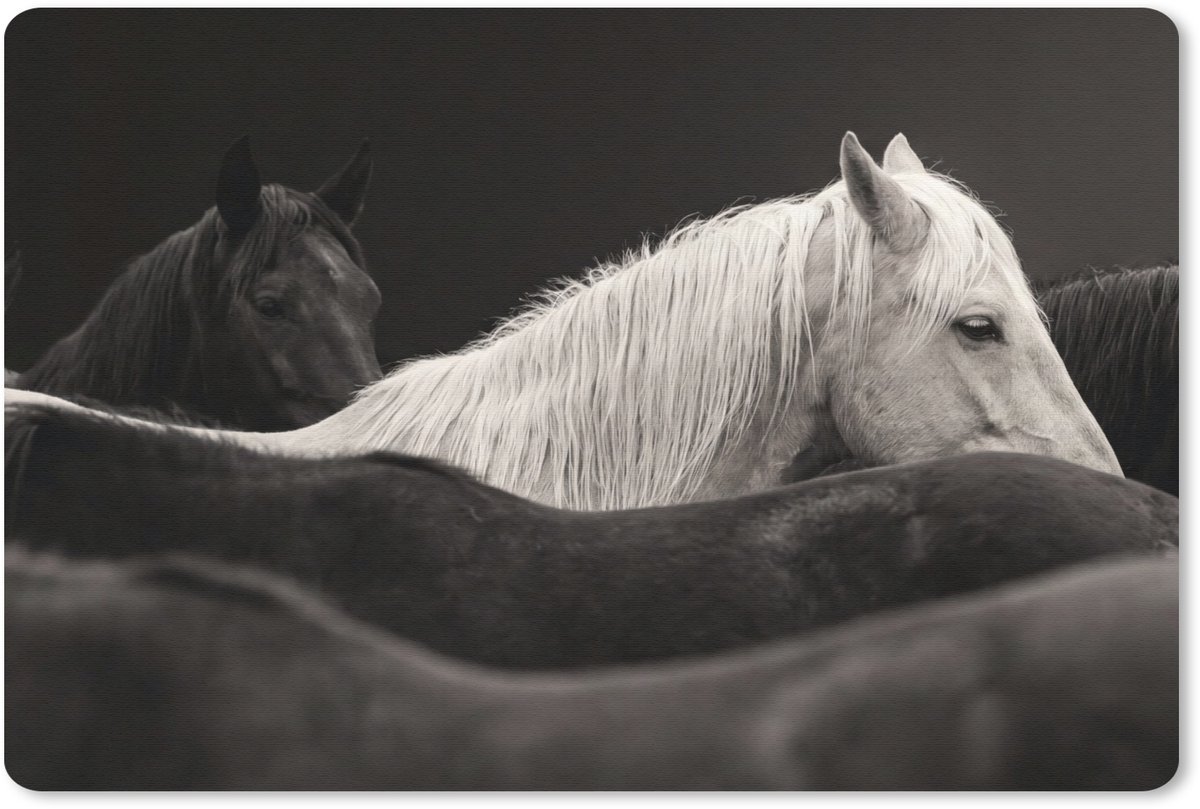 Muismat 13x8 cm - Mousepad Paarden - Zwart - Wit - Kudde - Muismatten