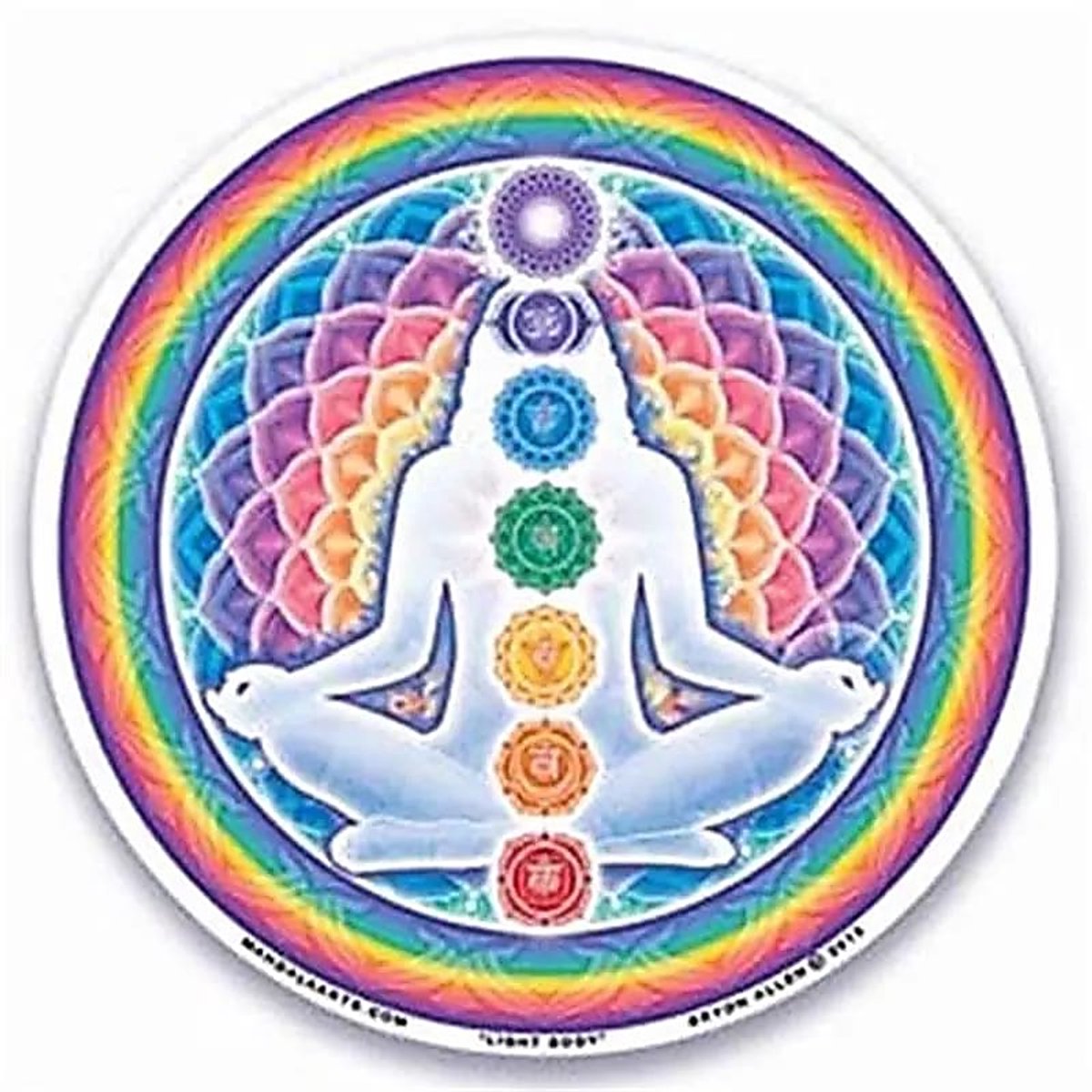 Raamsticker Light Body - set van 4 stuks - 10,5 cm - 10.5 cm