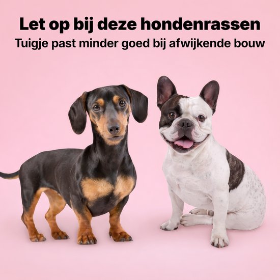 Un teckel noir et brun et un bouledogue français noir et blanc sur fond rose. Avec le texte 'Attention avec ces races de chiens'.