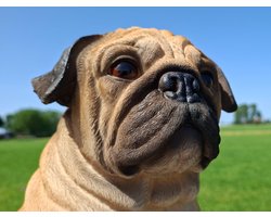 Mopshond Beeld XL – hond - Levensechte Zittende Pug – 38 cm – Polystone - Groot Luxe Hondenbeeld voor Binnen en Buiten