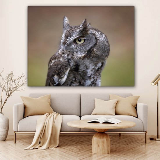 Gros plan d'un petit hibou sur toile 160x120 cm - Tirage photo sur toile (Décoration murale salon / chambre) XXL / Groot format!