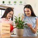 Vrouwen verzorgen een plant met een honingraat plantenrekje.