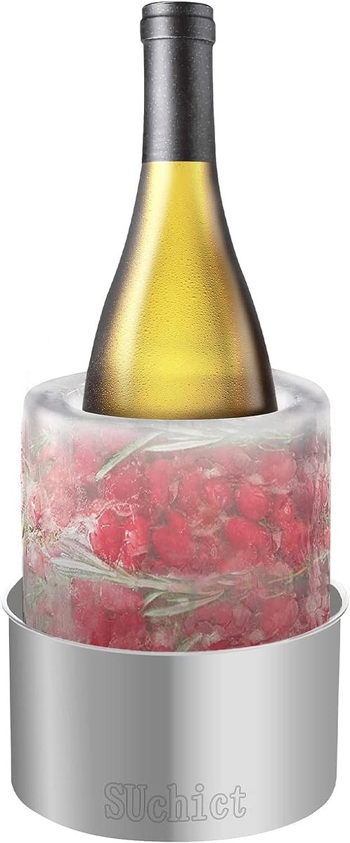 Dailygoods - Dailygoody - Creatieve Flessenkoeler - IJsemmer voor Wijn en Champagne - Uniek Ontwerp van IJs - Zilver - Koel Tot Vijf Uur - Geschikt voor Dranken
