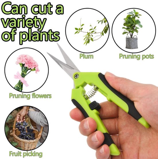 MTTProducts - Professionele Snoeischaar - Tuinaccessoire - Snijbladen - Groen - Planten Snoeien - Geschikt voor Tuinieren - 16.5 cm van Mttproducts — afbeelding 3