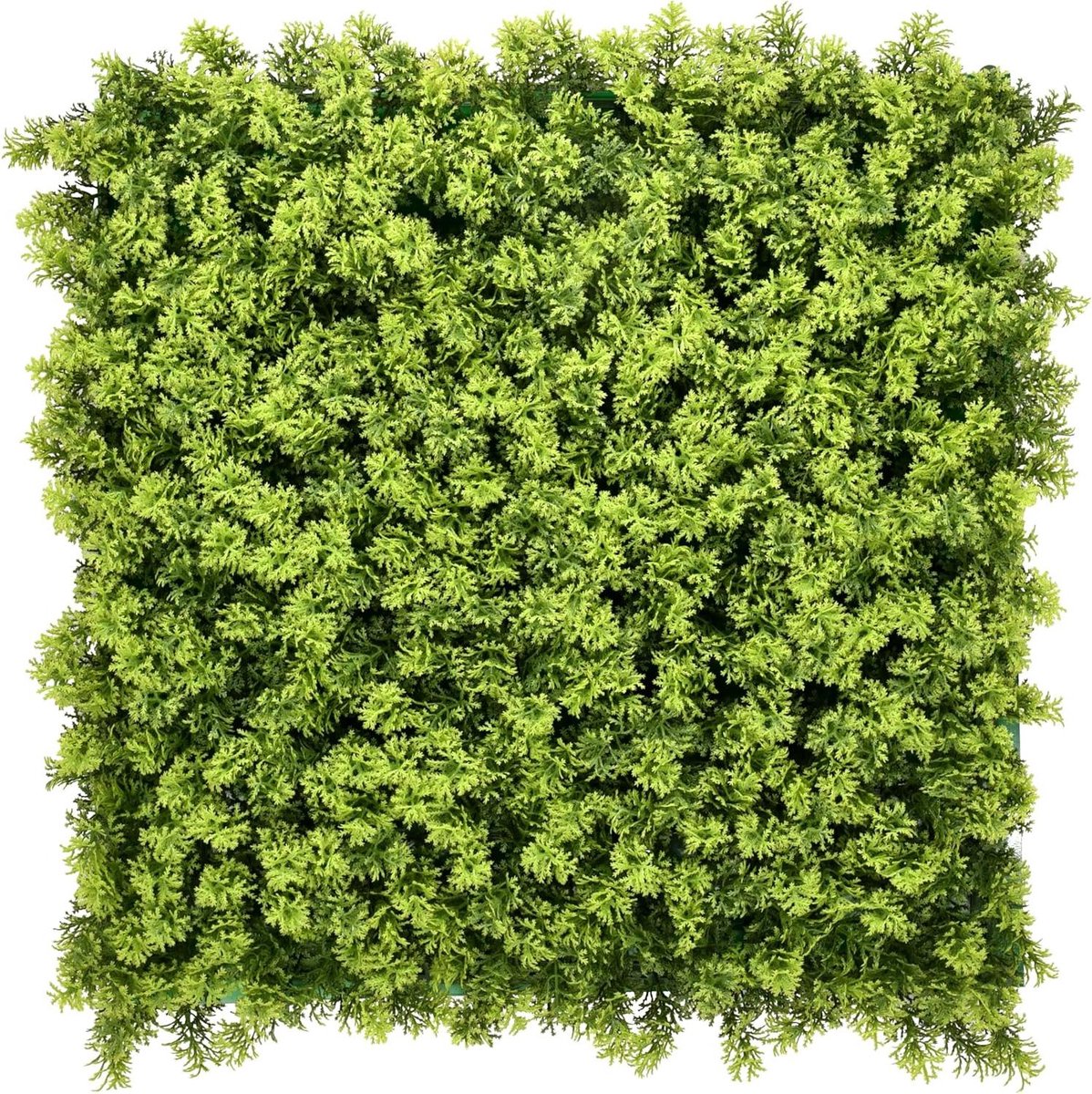 Kunstplantenwand - Wandtuin Kunstplant - Muur Decoreren - Natuurlijke Look - 50 x 50 cm - Groen