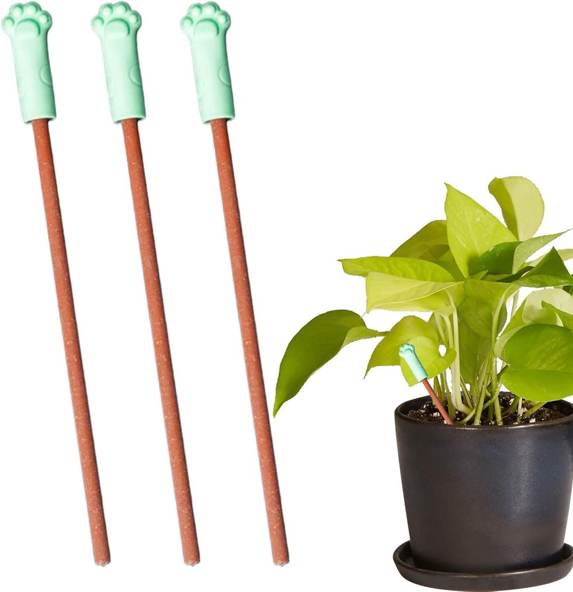 Bodemvochtmeter Set - Planten Tester - Planten Verzorging - Watergeefgids - 3 Stuks - Kleurrijk