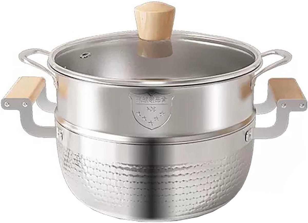 Stoompan RVS - Kookpan Glazen Deksel - Gezond Koken - Verdikte Bodem - 20 cm - Zilverkleurig