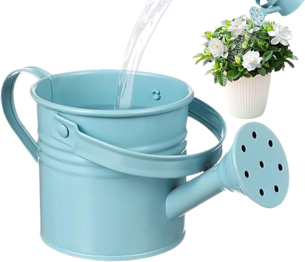 Gieter Buiten - Waterplanten Container - Planten Water Geven - Roestbestendig Ontwerp - 8x8x8 cm - Blauw