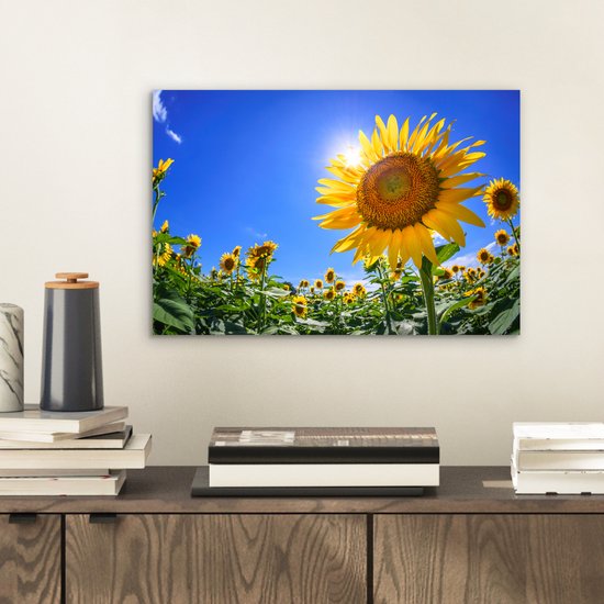 Aluminium schilderij 30x20 cm - Wanddecoratie metaal - Zonnebloemveld vanaf beneden gezien - Metalen muurdecoratie woonkamer - Decoratie industrieel - Foto op dibond - Industriële accessoires slaapkamer