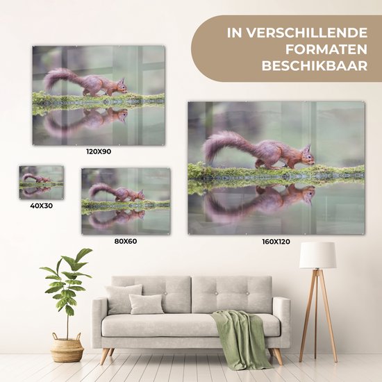 Peinture sur Verre - Écureuil - Mousse - Water - Reflet - 80x60 cm - Peintures sur Verre Acrylique - Photo sur Glas