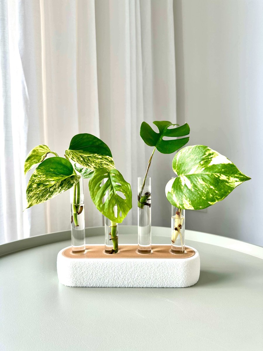 Stek station met 4 Glazen Reageerbuisjes – Kweekstation Kamerplanten – Stekken Monstera Pothos – Urban Jungle Planten Cadeau