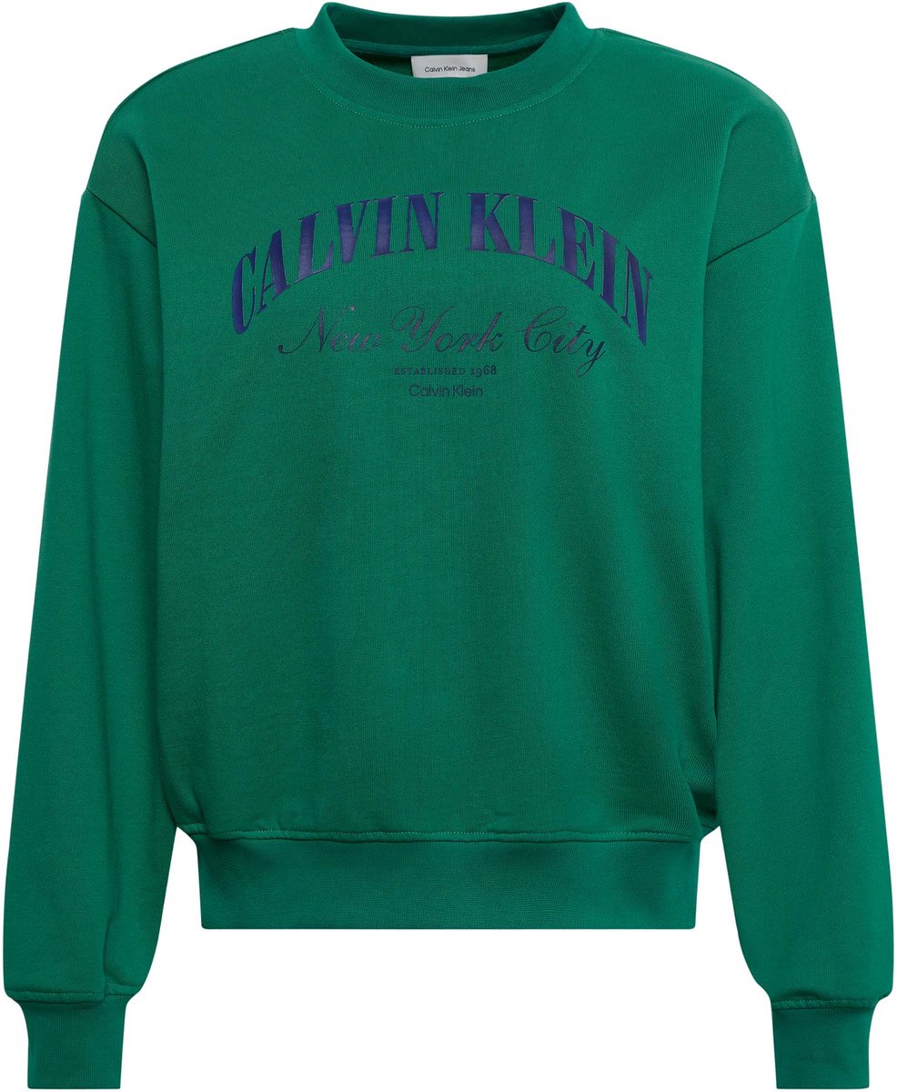 Ck Jeans Logo Graphic Ronde Hals Sweater Fashion Wear Vrouwen Groen