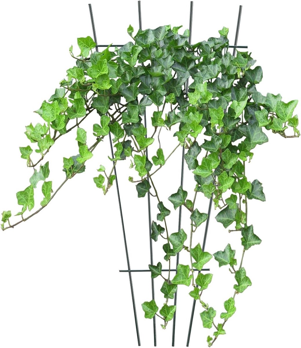 Trellis voor Klimplanten - Ondersteuning voor Vines en Bloemen, Lichtgewicht IJzeren Tuinstekker voor Binnen en Buiten, 40 x 18 x 6 cm