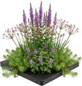 Een vijverplantenmand op een zwart vierkant platform met paarse bloemen en groene planten.