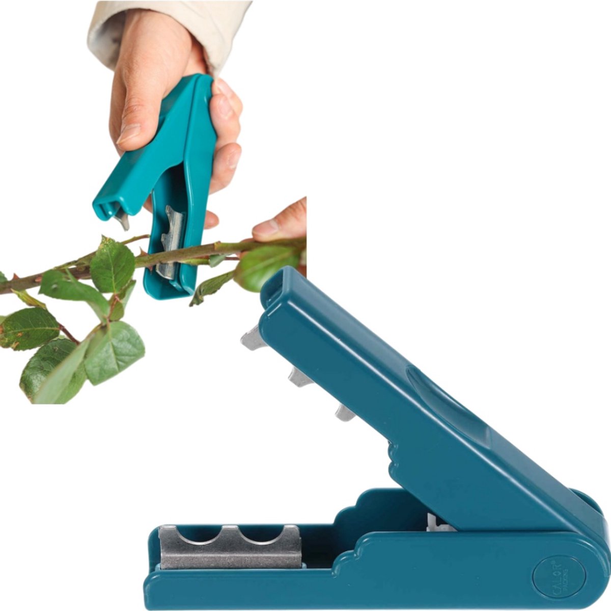1 stuk - Gereedschap voor het verwijderen van rozendoorns - Stevig metaal - Snoeischaar voor bloemen - Bloemstengelverwerker - 14*1,5 cm - Voor tuinieren en bloemenverzorging - Blauw