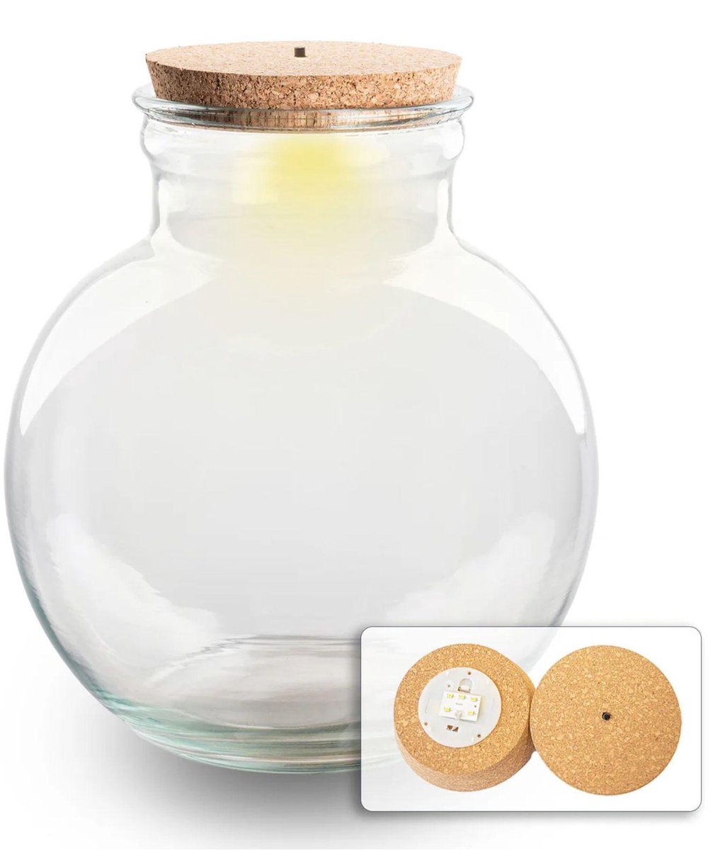 Terrarium with cork - Teddy with led cork - ↑ 26.5 cm