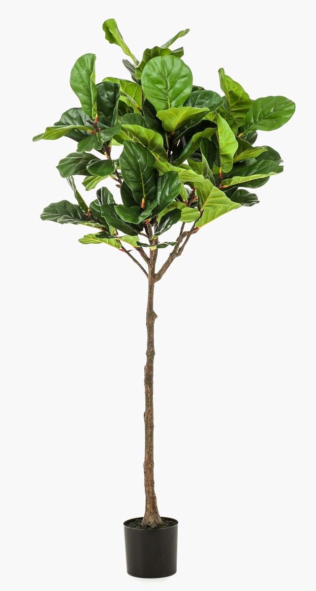 Decoratieve Kunstplant - Neppe Ficus - Woonkamer Aankleden - Echte Stam - 195 cm - Groen