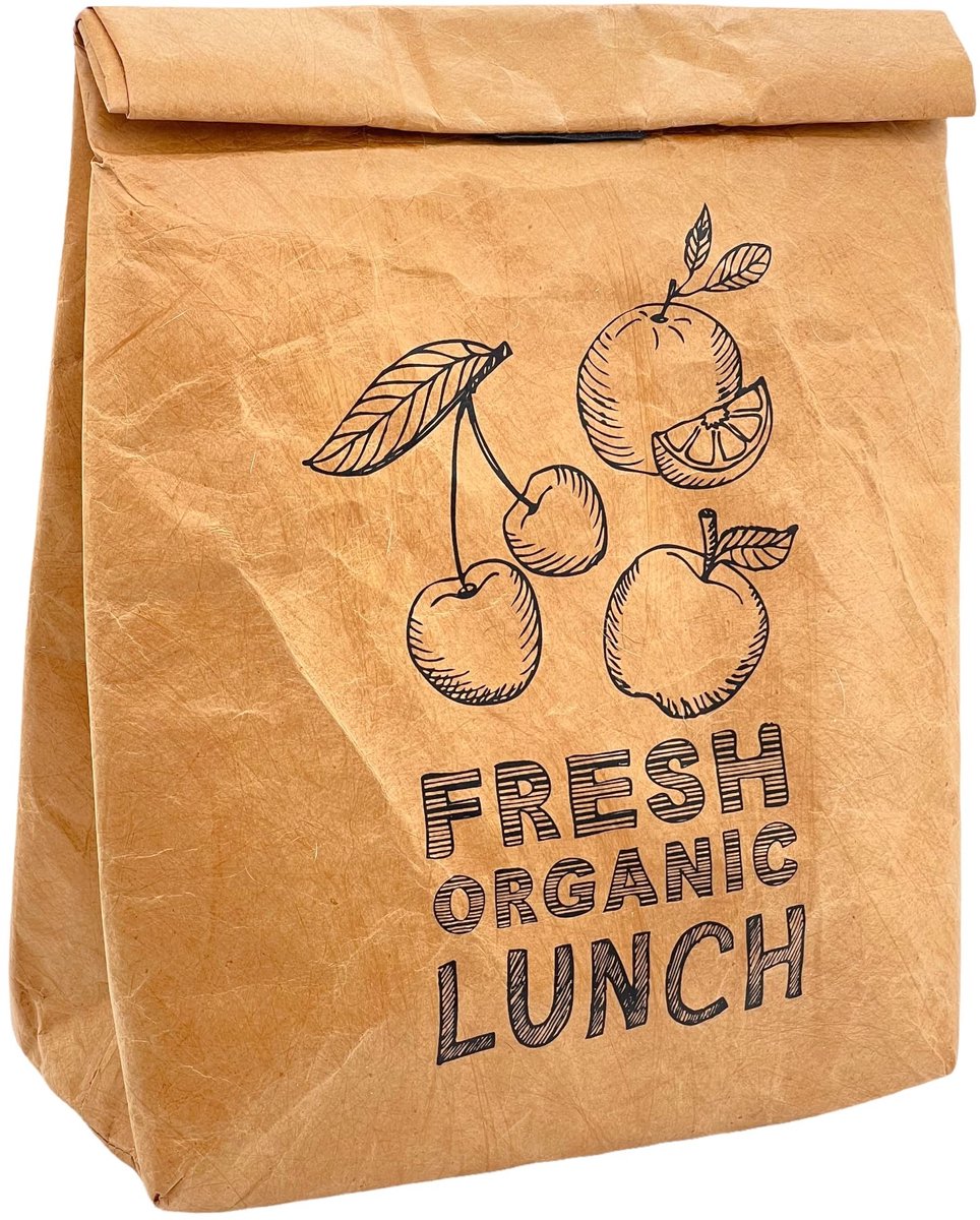 Dailygoods- Lunchzak geïsoleerd - Koeltas - Klittenbandsluiting - Aluminium coating - Afmetingen 31 x 20 x 16 cm - Praktisch design