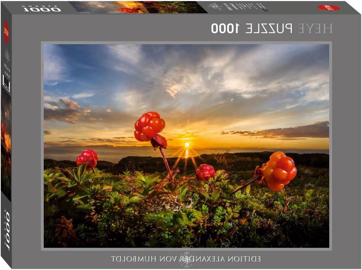 Cloudberries Puzzle 1000 Teile