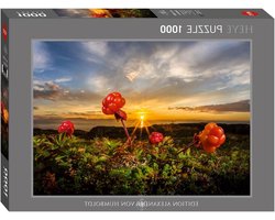 Cloudberries Puzzle 1000 Teile