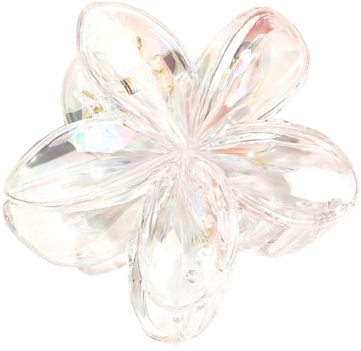 Dailygoods - Bloemen Haarclip voor Dames in Transparant