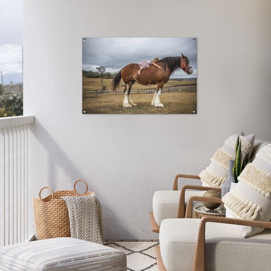 Posters de jardin Cheval - Fille - Prairie - 90x60 cm - Toile jardin