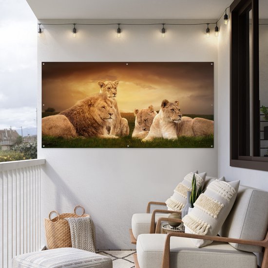 Affiche de clôture Lions - Herbe - Ciel - 200x100 cm - Toile de jardin