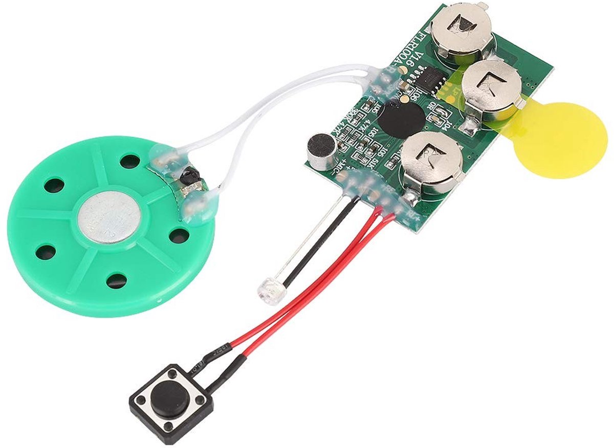 Dailygoods - Dailygoody - Writable sound card - DIY muziek module - Perfect voor zelfgemaakte wenskaarten - Groen - Spreekmodule - Geschikt voor cadeauverpakkingen..