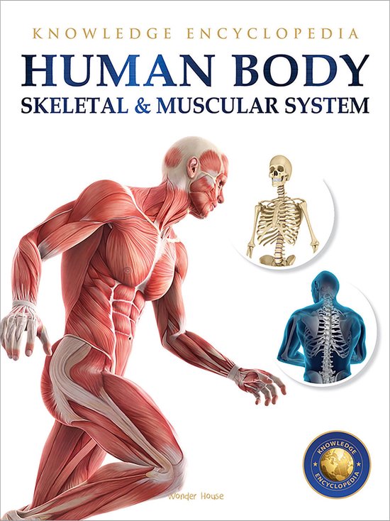 Human Body - Skeletal And Muscular System: Knowledge Encyclopedia For Children