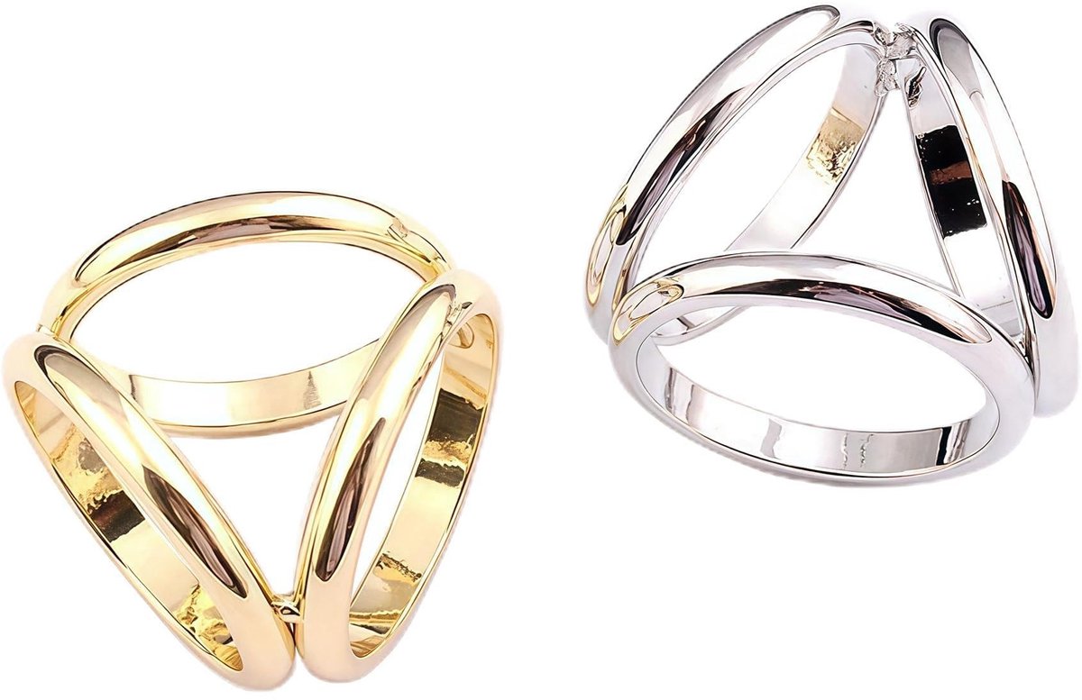 Allecto - Sjaal Sluiting Clips - Elegante Scarf Ring Buckles - Goud en Zilver - Modern Design - Accessoires voor Sjaals - Perfect voor elke gelegen..