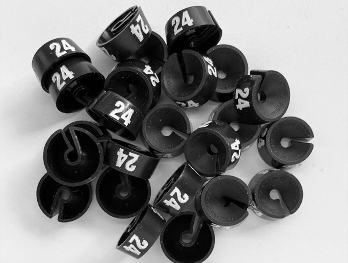 Bleijenberg Maatdopje maat 24 zwart - Maataanduiding voor kledinghangers per 25 stuks - Maatringetje Ø 20 mm - Kledinghangers - Kleerhanger - Kapstok - Mark-Brics - wisersizer