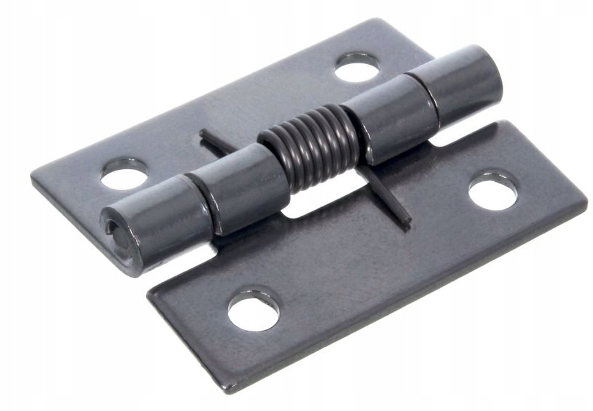 Roestvrijstalen Zelfsluitende Scharnier met Veer - 38x30x1.5mm