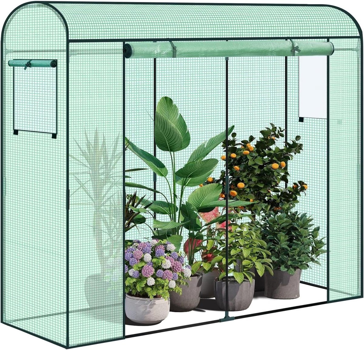 Tuin Kas - Folie Tunnel - Planten Beschermen - Opvouwbaar Ontwerp - 170x68x200cm - Groen