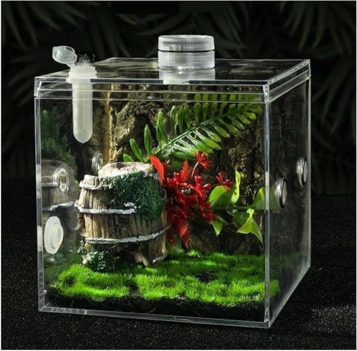 Insecten Terrarium - Kleine Behuizing - Huisdier Observatie - Volledig Transparant - 10x10x10 cm - Transparant
