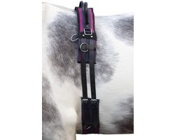 Longeer singel - Paardentuig - Grondwerk paard - Met handvat - Mini Shetty - Marineblauw/Passion Pink