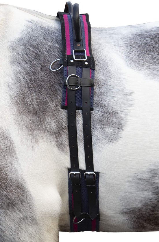 Longeer singel - Paardentuig - Grondwerk paard - Met handvat - Mini Shetty - Marineblauw/Passion Pink Longeer singel - Paardentuig - Grondwerk paard - Met handvat - Mini Shetty - Marineblauw/Passion Pink