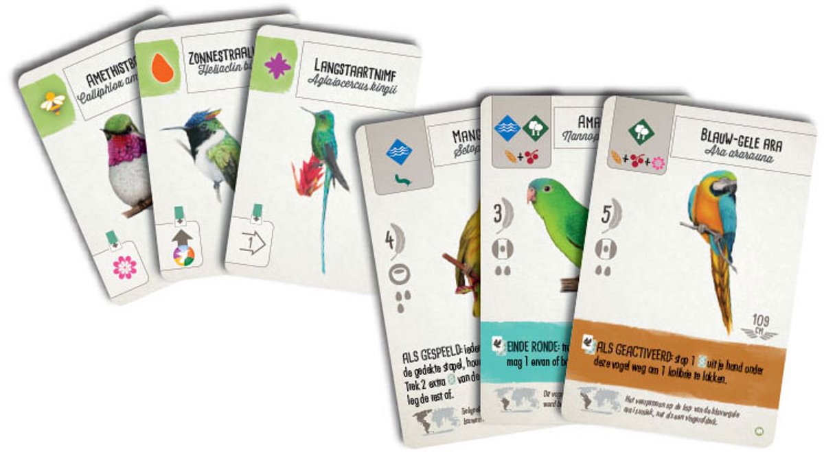 999 Games - Wingspan uitbreiding: Midden- en Zuid-Amerika Bordspel — afbeelding 8