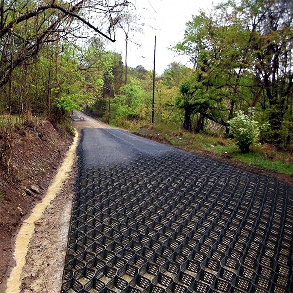 Grindtegels Opritten - Grondrooster Stabilisatie - Ondergrond Versterken - Honingraat Structuur - 3x6 m - Zwart
