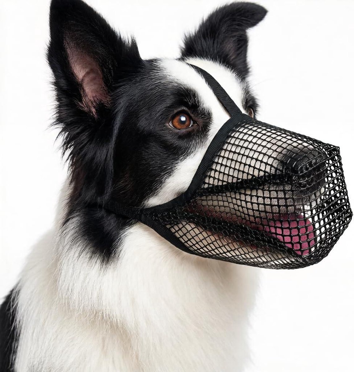 Honden muilkorf - Zachte mondbescherming - Veilig trainen - Ademend netmateriaal - Maat M - Zwart