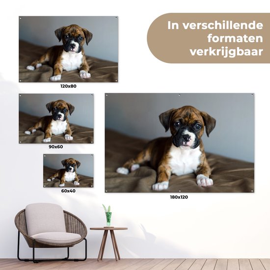 Affiche de jardin chiot Boxer couché sur un kussen 90x60 cm - Toile de jardin / Toile d'extérieur / Peintures pour l'extérieur (décoration de jardin)