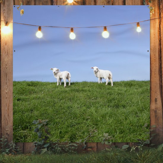 Tuinposter 200x200 cm - Tuindecoratie Twee lammetjes die zich op een grasdijk bevinden - Poster voor in de tuin - Buiten decoratie - Schutting tuinschilderij - Tuindoek muurdecoratie - Wanddecoratie balkondoek