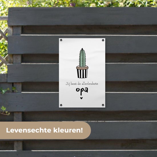 Papy cadeau Vaderdag - Tu es le plus beau papy - Poster jardin blanc 40x60 cm