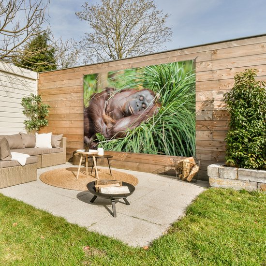 Tuinposter 180x120 cm - Tuindecoratie Aap - Jong - Gras - Slapen - Poster voor in de tuin - Buiten decoratie - Schutting tuinschilderij - Tuindoek muurdecoratie - Wanddecoratie balkondoek