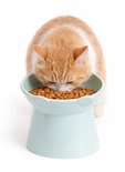 Een oranje kat met witte vlekken eet uit een lichtblauwe, verhoogde kattenbak met oor-details, gevuld met brokjes.