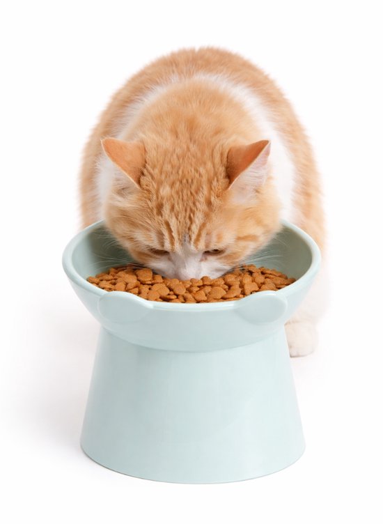 Een oranje kat met witte vlekken eet uit een lichtblauwe, verhoogde kattenbak met oor-details, gevuld met brokjes.
