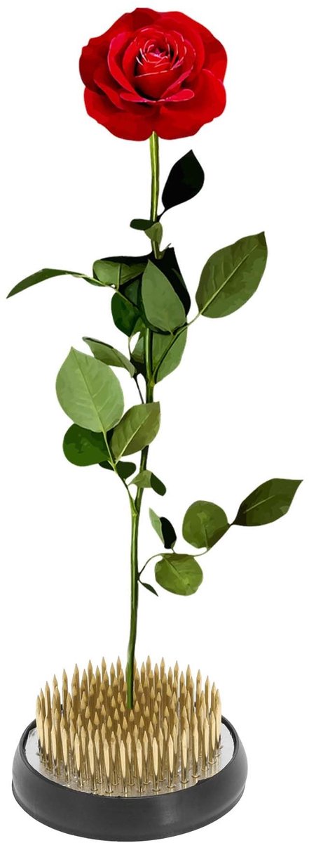 Dailygoods- Bloemenkikker Goudkleurig - Koppers voor Bloemstukken - Kikker met Naald 50 mm - Bloemenstandaard - Hoogwaardige Materialen - Duurzaam Ontwerp - Bloemensteun