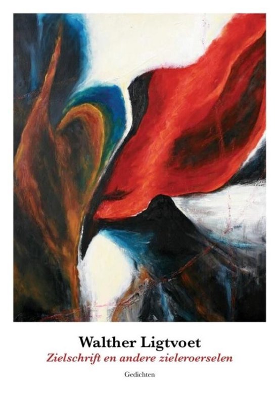 Zielschrift - cover